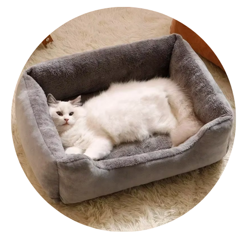 White cat lying on a gray pet bed on a wooden floor.