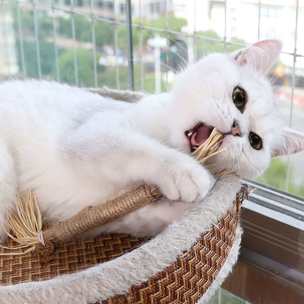 100% Natural Silverine Dental Sticks