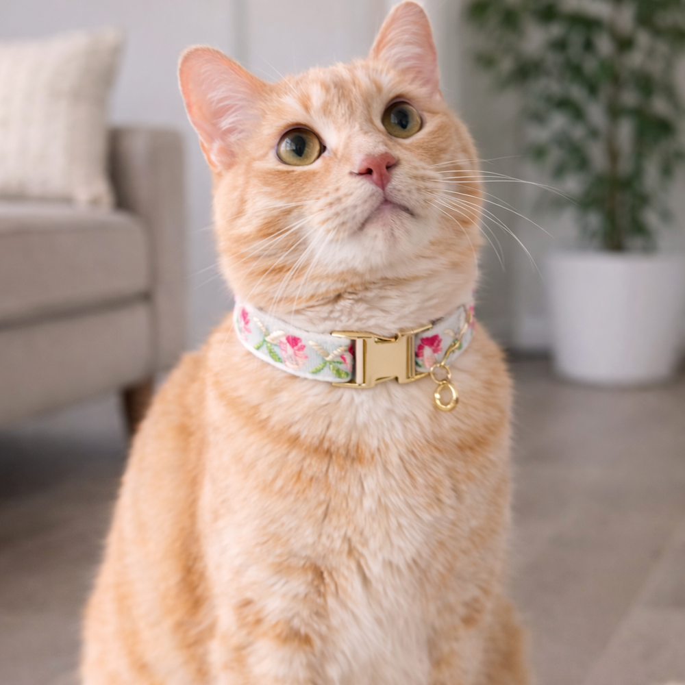 Cat wearing a floral collar in a home setting