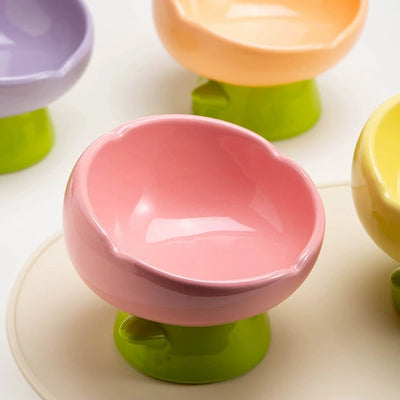 Colorful Cat Bowl