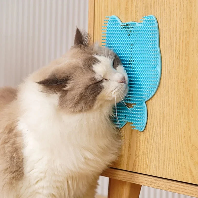 Cat Scratching Board