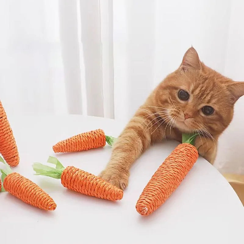 Carrot Scratch Stick for Cats