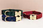Three dog collars with gold bone-shaped tags on a beige background