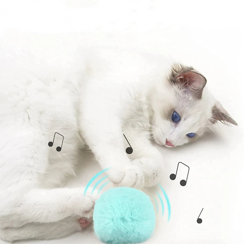 Smart Cat Interactive e-Ball