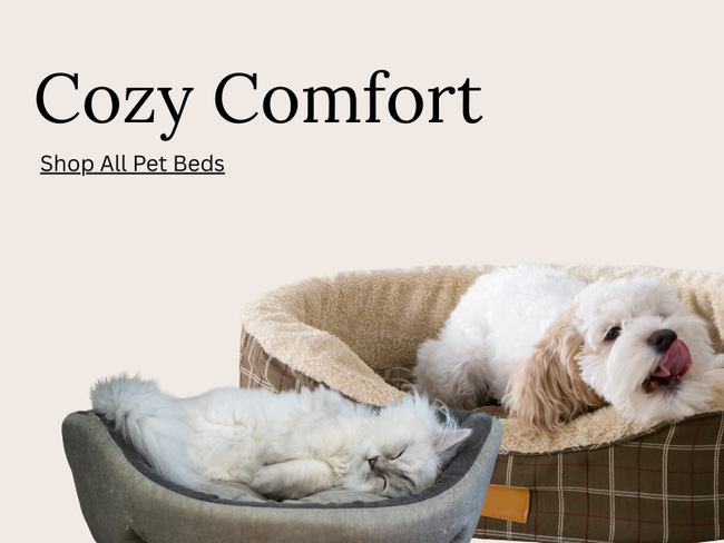Two dogs in pet beds with 'Cozy Comfort' text and 'Shop All Pet Beds' link.
