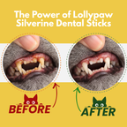 100% Natural Silverine Dental Sticks